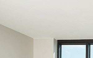 Large Windows - Lots of Sunlight